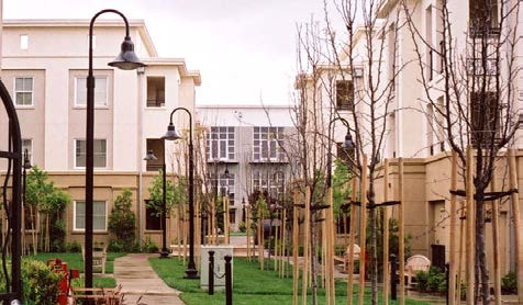 Open Space 1_Design and Access